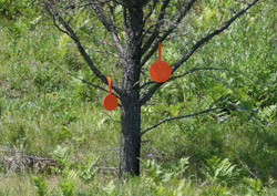Self-sealing targets in Tree